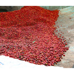 Cedar Rwanda Shyira Natural cherry