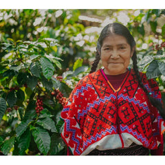 Covoya cooperative coffee grower in Chiapas Mexico