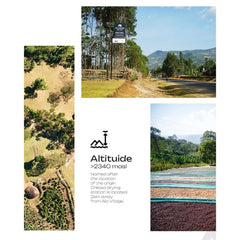 Chilaka drying station collage showing farmland, a rural road and drying beds, with an altitude above 2,340 metres.