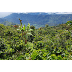 Santa Isabel landscape, Ciudad Bolivar Colombia