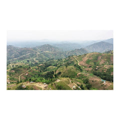 Ugandan smallholder coffee farms