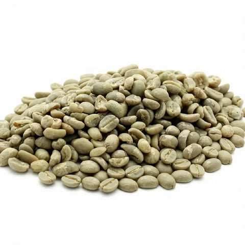 Ethiopia Sidamo Washed Grade 2 Swiss Water® Decaf green beans