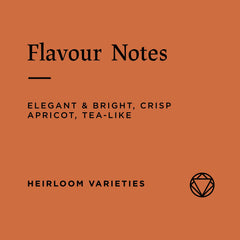 Flavour notes for Rosetta Roastery Ethiopia Wete Konga Washed