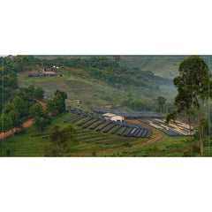 Surma Block at Gesha Village, Ethiopia