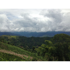 Finca Monte Frio hills