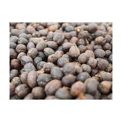 Finca Monte Frio dry coffee cherries