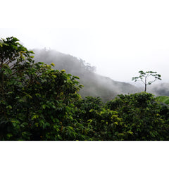 Santa Isabel mountains, Ciudad Bolivar Colombia