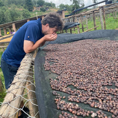 Drying coffee cherries at Burundi Munkaze Coffee Washing Station