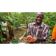 Sorting ripe coffee cherries by a coffee producer near the Nyabirongo coffee station in Uganda 