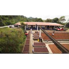 Colombia El Placer farm drying beds