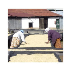 Origin Coffee Roasting Tanzania Mondul Estate AA coffee workers