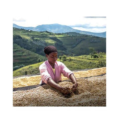 Origin Coffee Roasting Rwanda Mbizi coffee washed worker