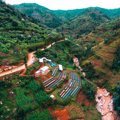 Origin Rwanda Shyira overhead shot of mill