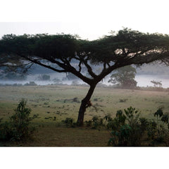 Beshasha Ethiopia landscape