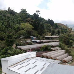 Cafe Rivense del Chirripó coffee processing site