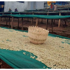 Origin Coffee Roasting - Ethiopia Koke Shalaye