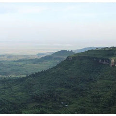 Landscape showing Ugandan hills where coffee is grown