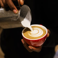 ACME Classic Rata Latte cup with milk foam pouring