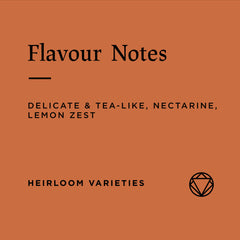Flavour notes of single-origin Chelchele Ethiopian Rosetta coffee beans