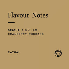 La Arcadio Catuai coffee flavour notes: bright, plum jam, cranberry and rhubarb.