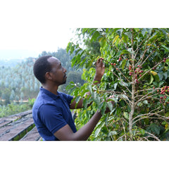 Rwanda Gitesi Washing station