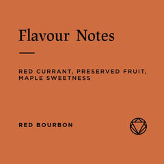 Flavour notes for Rosetta's Rwanda Gitesi Washing station coffee beans