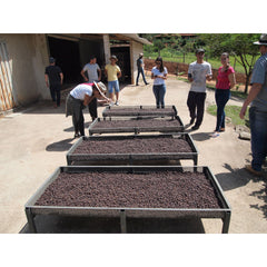 Sitio Vargem Grande drying beds