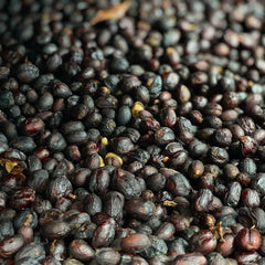 Finca El Mirador drying Striped Bourbon coffee cherries