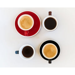 ACME Classic rata, weka, kokako & penguin demitasse & tulip cups with saucers