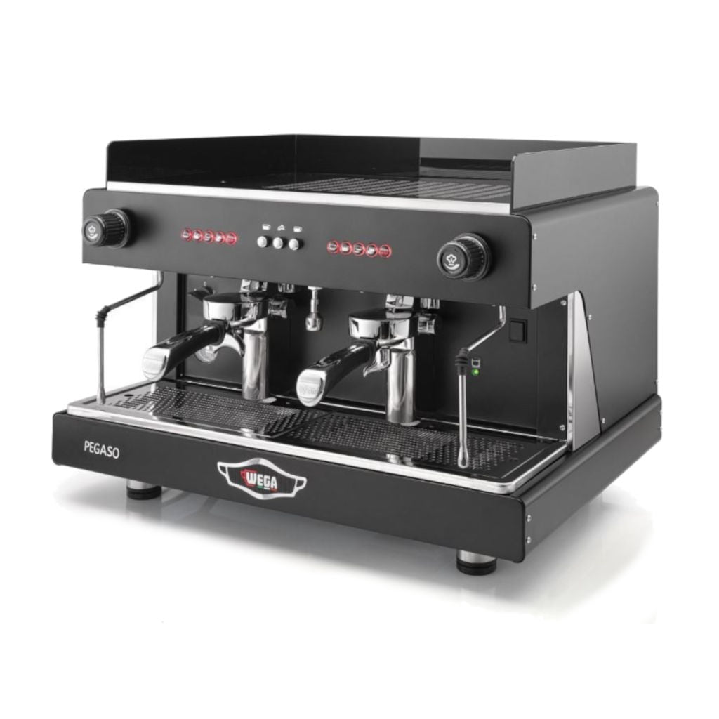 Wega Pegaso Espresso Machine